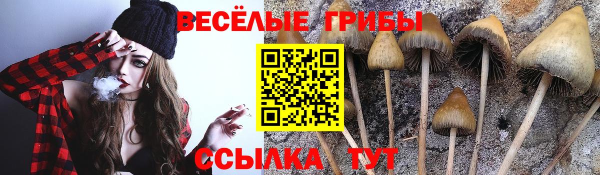 Галлюциногенные грибы прущие грибы  Вход с VPN  хочу наркоту  Калуга 