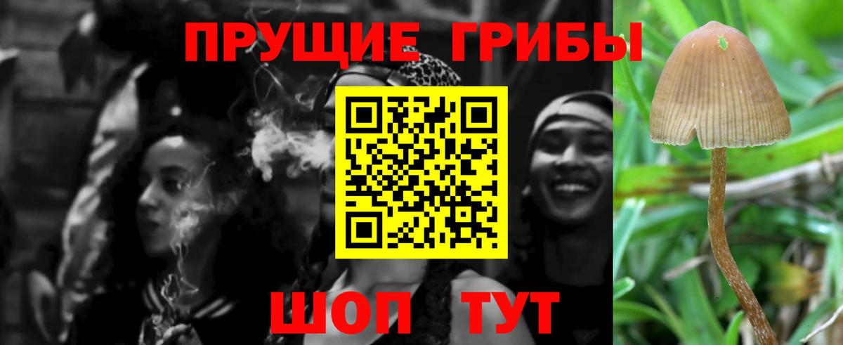 Псилоцибиновые грибы ЛСД Калуга